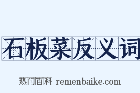 石板菜反义词是什么意思的图片